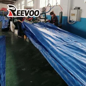 Μπλε Κάλυψη PE μουσαμά